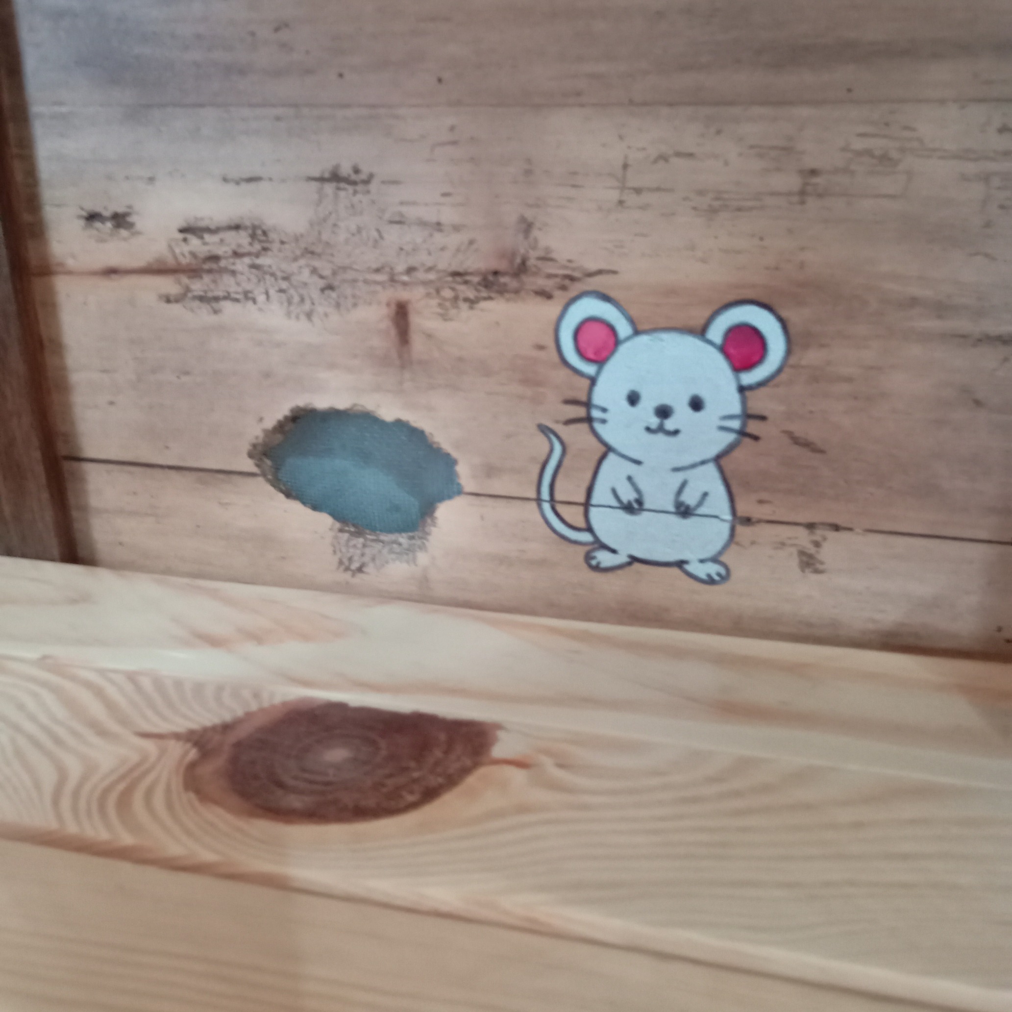 buffet en châtaignier transformé en garde manger vue de l'intérieur droit. Zoom plus précis sur une souris dessinée et son trou